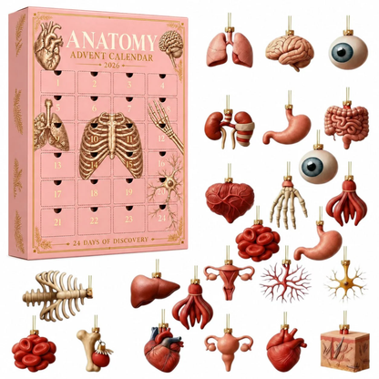 MedAdvent™ Anatomy advent calendar