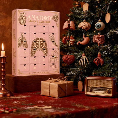 MedAdvent™ Anatomy advent calendar